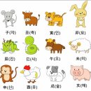십이지와 띠동물 이미지