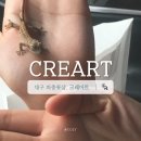 크레아트 | 대구 도마뱀 파충류샵 크레아트 방문 후기