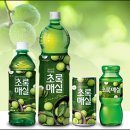 초록디자인