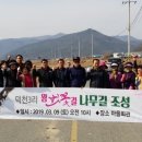 왕벚꽃나무길 CBN뉴스