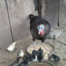 우경농장 이미지