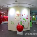 거창사과테마파크 전시실 이미지