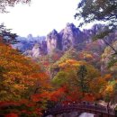 10월 21일(수) 설악산 주전골 가을단풍 &amp; 하조대 바다여행 이미지
