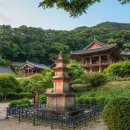 인동저녁노을 이미지