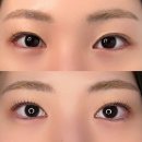 처인구 역북동 속눈썹펌 후기｜쌩얼에도 잘 어울리는 미미래쉬