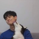개꿀 네이버블로그
