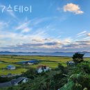 877 스테이 이미지