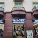 더플렉스(The Flex) 이미지