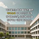 파크골프장 시설 및 파크골프 용품 상담 이미지