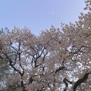 상현운수(주) | 6전공의 저주