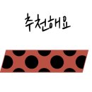 싸움의고수춘천 네이버블로그