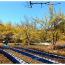 현천마을 이미지