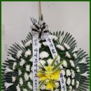 은하수꽃집