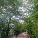 경춘매점 | 경춘라이딩, 갈때까지 가보자