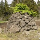 성읍2리 이미지