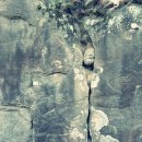 낙동 물량리 암각화 이미지