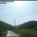 송단제 이미지