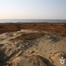 해안사구 이미지