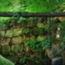 담양을 담다 이미지