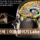 두려움을 용기로 바꾸는 마음의 연금술 이미지