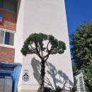 만덕3동 주민센터 이미지