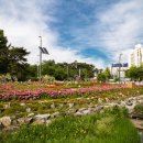 풍암호수공원 이미지