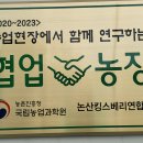 최경희 전도사 스마트팜 딸기 농장 이미지