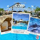 위도 아일랜드 | 세부 모알보알 가족여행 숙소 리조트 추천 트리쉐이드 마사지 후기