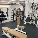 올바른 PT 이미지