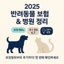 KB동물병원(출장진료전문) | 2025년 반려동물 보험 비교표 &amp; 병원 추천 총정리 (강아지·고양이)