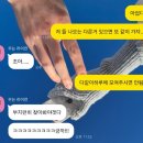 해피 댕 데이 | 2024 펜타포트 페스티벌 ★ _ 가장 뜨거웠던 여름