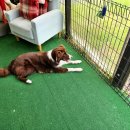 선사숯불닭갈비 이미지