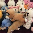 뽑기초보 이미지