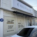 스피드메이트 포항제1점 | 포항다이어트 중 체지방 줄고 싶다면 셀포랩 시크릿 추천