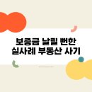 대한민국정직한사람들공인중개사사무소 | 천안·아산 공인중개사 사기 사례 + 예방법 총정리