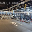 에스라인다이어트워 | 인후동 집근처 재등록 회원 많은 헬스장 에스라인다이어트워 파격 혜택