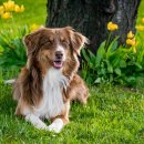 능곡동물병원 이미지