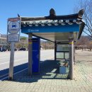 경주시 벚꽃 구경하기 좋은 곳 - 경주 엑스포 대공원 - 아이와 함께 가볼만 한 곳, 연인 데이트하기...