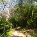 몽여해변 이미지