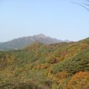 금성크리스탈 이미지