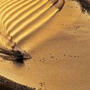 신안서원 이미지