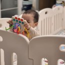 지움 어린이집 | 보들매트 리퍼 내돈내산 가격, 솔직후기. 시공기사님 추천은 덤