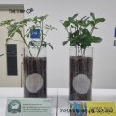 강원도지체장애인협회 | [공지] [강원도지체장애인협회] 인제군지회, 친환경 100% 생분해되는 <에코블리> 물티슈 생산으로...