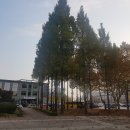 성포예술광장 이미지