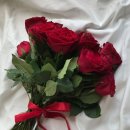 로즈플래닛 이미지