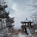 제123차 2025/02/09 장성축령산(621m) 정기산행 안내입니다. 이미지