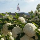 방일1리 마을회관 이미지