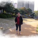 서대전 광장 이미지