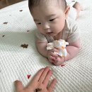 다새김 이미지