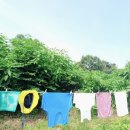 김용근 농장 이미지